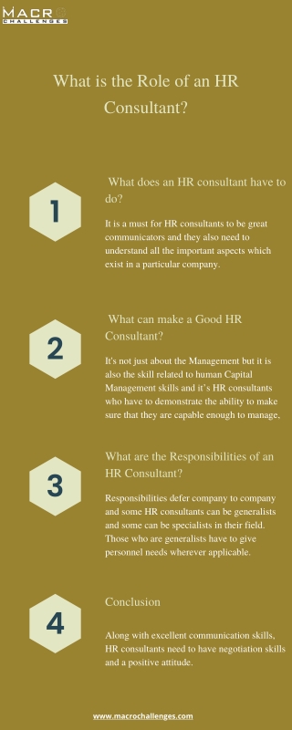 What is the Role of an HR Consultant
