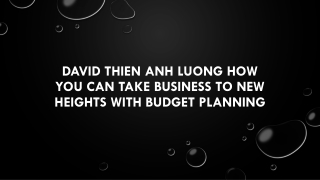 David Thien Anh Luong How You Can Take Business to New Heights with Budget Planning