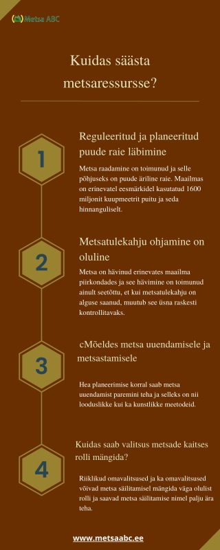 Kuidas säästa metsaressursse