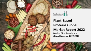 Plant Based Protein Market By Type, By Source, By Application, By Form, Size, Share, Growth, By Region Forecast to 2031