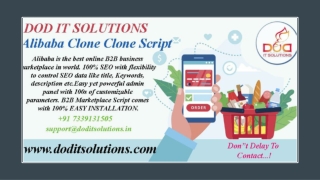 Best Online Alibaba Clone System - DOD IT SOLUTIONS