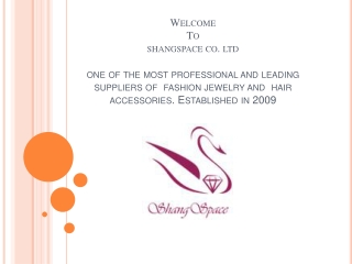 The most hair accessories supplier in China