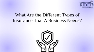 What Are the Different Types of Insurance That A Business Needs?