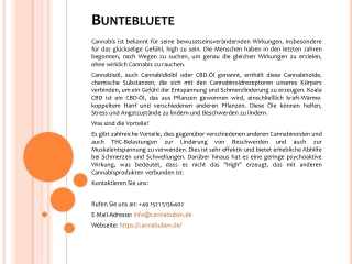 Buntebluete