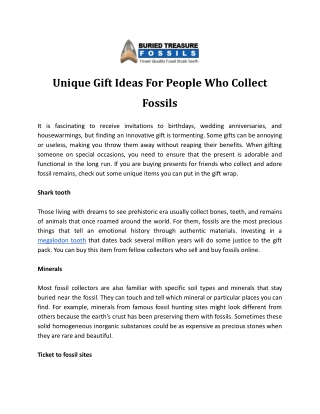 Unique Gift Ideas For People Who Collect Fossils