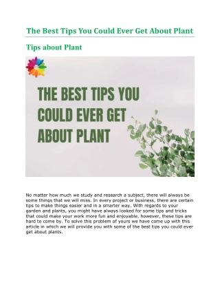 The Best Tips You Could Ever Get About Plant