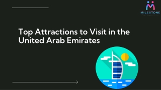 Top Attractions to Visit in the United Arab Emirates