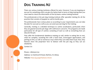 Dog Training NJ