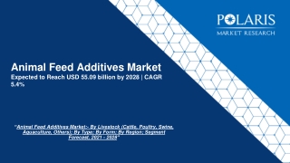 Animal Feed Additives Market Analysis Report 2028