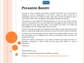 Polkadog Bakery