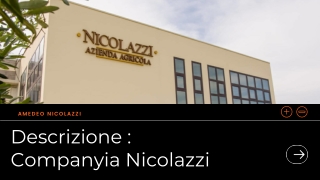 Descripció de l'empresa Nicolazzi : Amedeo Nicolazzi