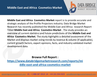 Middle East and Africa Cosmetics Market – Industry Trends