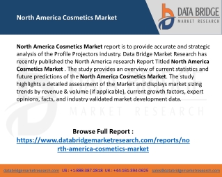 North America Cosmetics Market Size