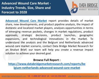 Belgium and Netherlands Advanced Wound Care Market