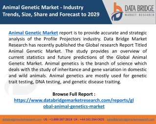 Global Animal Genetic Market