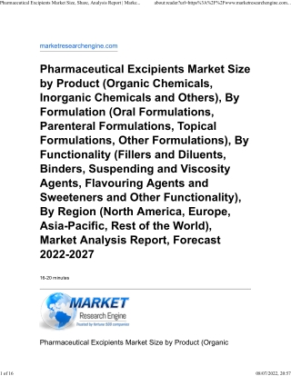 Pharmaceutical Excipients Market