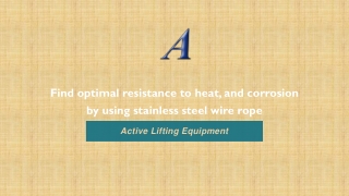 Find optimal resistance to heat & corrosion by using stainless steel wire rope