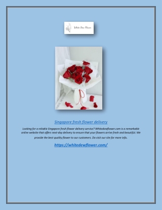 Singapore Fresh Flower Delivery | Whitedewflower.com