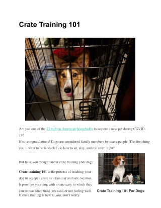 Crate Training 101 For Dogs