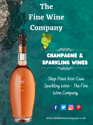 Shop Pinot Noir Cava Sparkling Wine - The Fine Wine Company