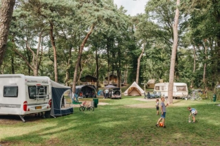 Camping_Vechtdaljpg