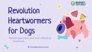 Buy Cheap Revolution Heartwormers for Dogs | Visit BudgetVetCare