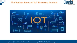 The Various Facets of IoT Firmware Analysis