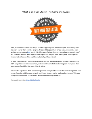 What is BNPL's Future? The Complete Guide