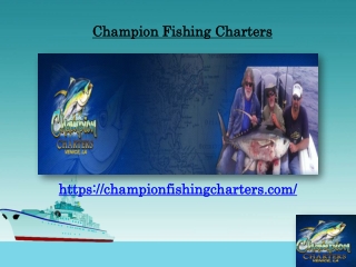 Venice Fishing Charters