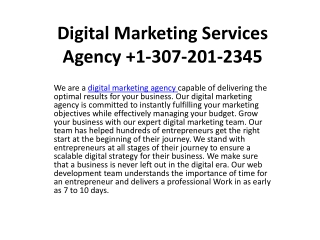 Digital Marketing Services Agency  1-307-201-2345