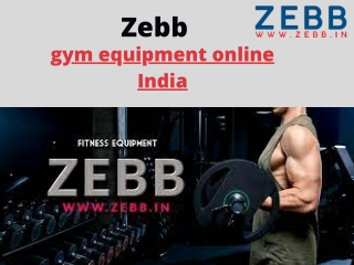 zebb dumbbells india