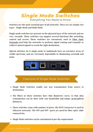 Everything you need to know about Single Mode Switches