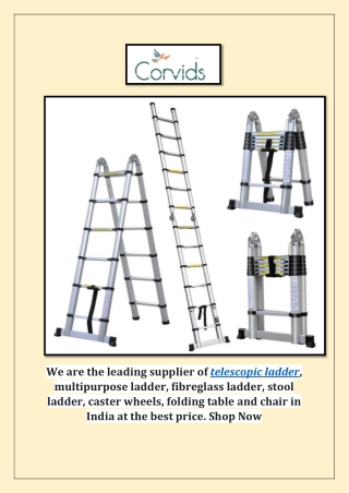 Leading Supplier of Telescopic Ladder