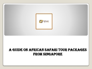 A Guide on African Safari Tour Packages from Singapore