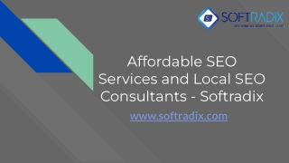 Affordable SEO Services and Local SEO Consultants - Softradix