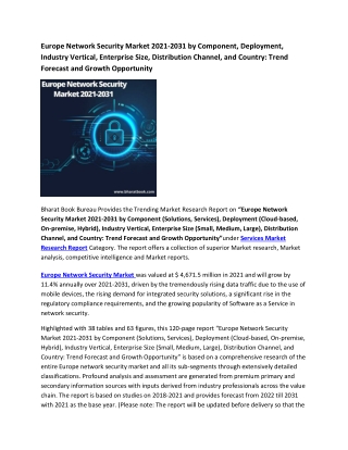Europe Network Security Market Research Report 2021-2031