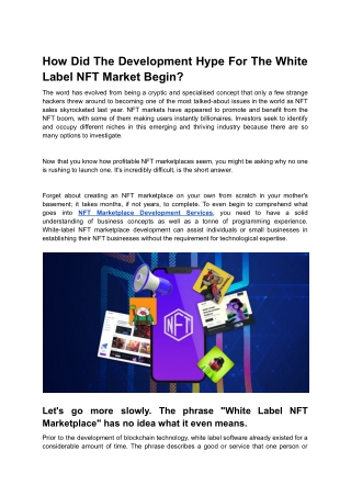 How Did The Development Hype For The White Label NFT Market Begin_