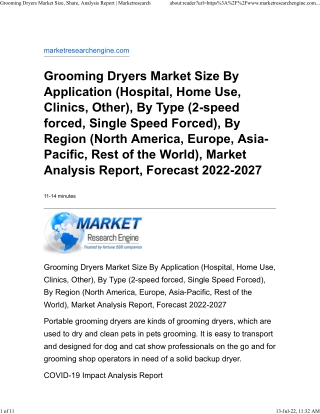 Grooming Dryers Market