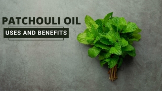 Patchouli oil uses and benefits