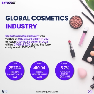 Cosmetics Market - SkyQuest Insights