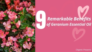 9 Remarkable Benefits of Geranium Essential Oil