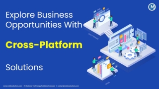 Explore Business Opportunities With Cross-Platform Solutions