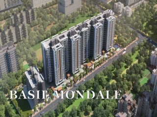 Basil Mondale| Call: 8448272360