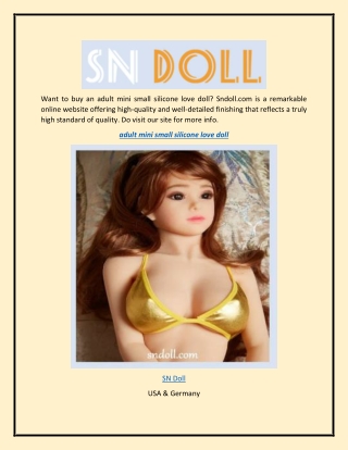 Adult Mini Small Silicone Love Doll  Sndoll.com