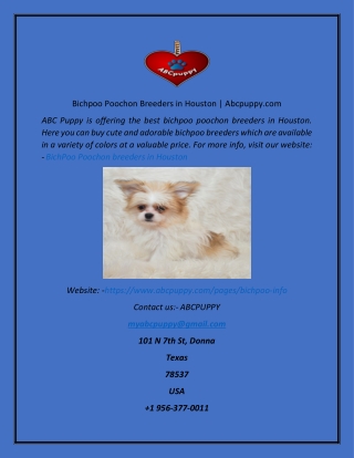 Bichpoo Poochon Breeders in Houston  Abcpuppy