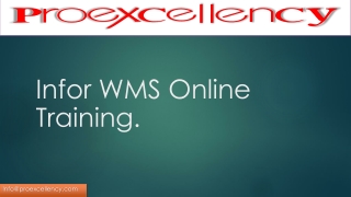 Proexcellency Provides Infor WMS Online Training