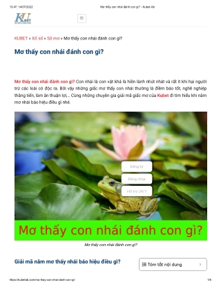 Mơ thấy con nhái đánh con gì_ - Kubet Ab
