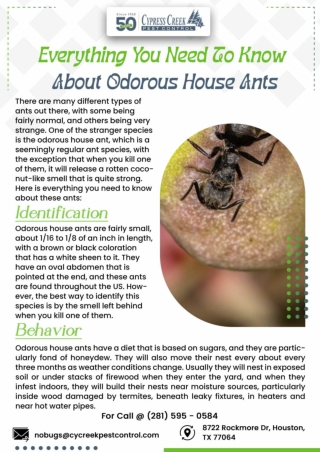 commercial Pest Control Houston | Houston Ant Control