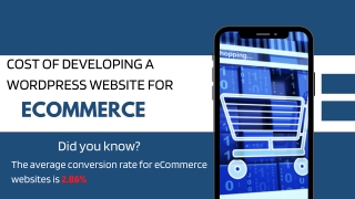 Cost of Developing a WordPress Website for Ecommerce