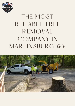 The Most Reliable Tree Removal Company in Martinsburg WV